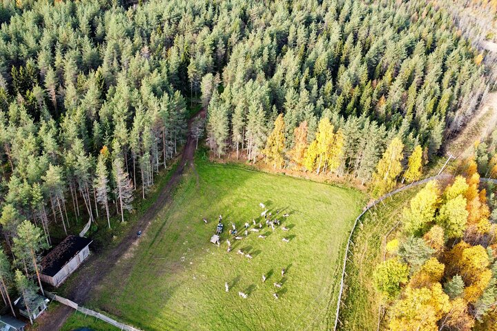Authentic Reindeer Farm and Canoe Experience from Rovaniemi