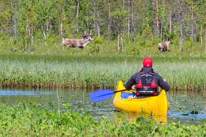 Authentic Reindeer Farm and Canoe Experience from Rovaniemi