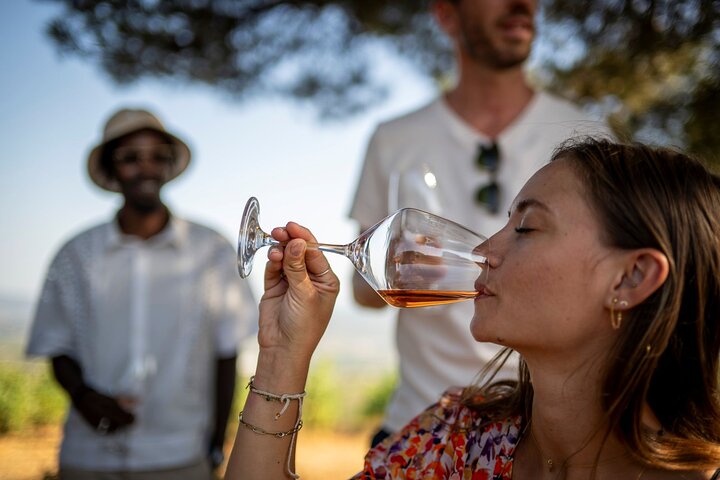 Provence Wine Tour - Small Group Tour from Nice