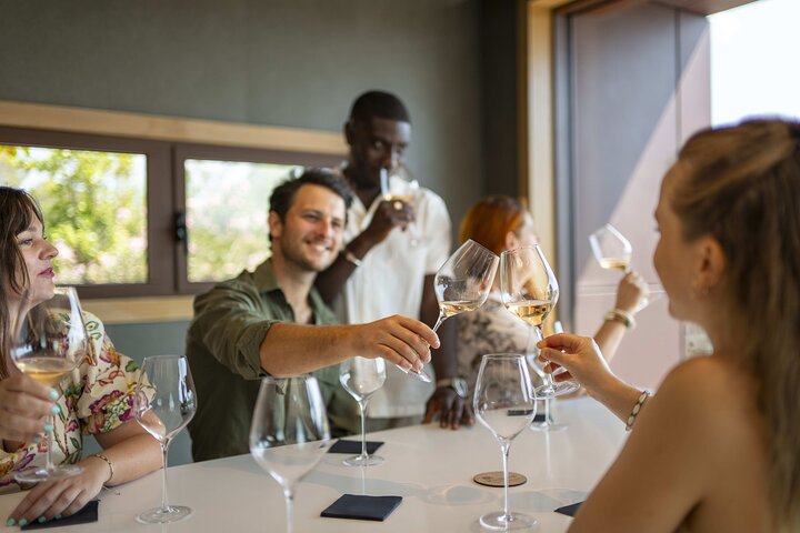 Provence Wine Tour - Private Day Tour from Antibes