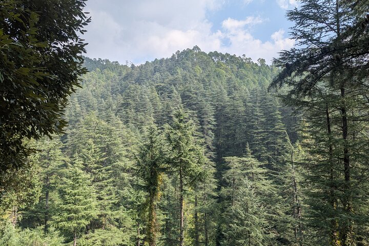 Kumaon/Binsar Sanctuary Walking Holiday