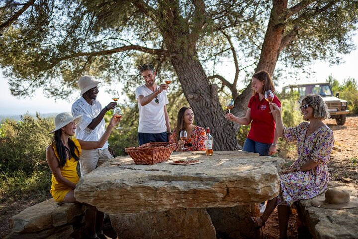 Provence Wine Tour - Private Day Tour from Antibes