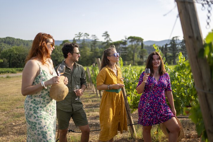 Provence Wine Tour - Small Group Tour from Nice