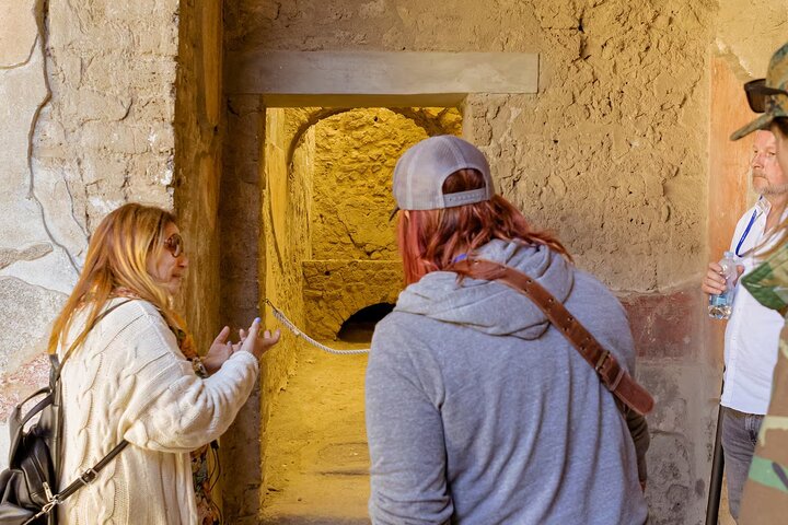 Pompeii Tour & Lunch with Wine Tasting Experience