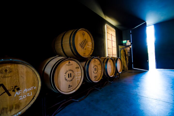 Douro Valley Wine Tour (with the producers)