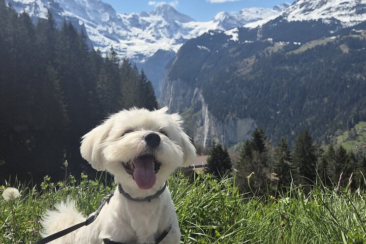 The best Sunset hike with Cheese Fondue
