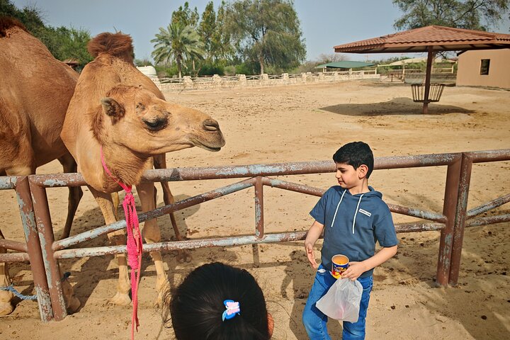 Private Flexible Tour of Bahrain with Local Guide Sadeq