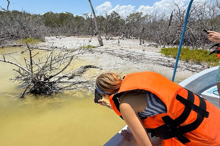 Rio Lagartos and Las Coloradas - Safari Natural Experience 4 hours