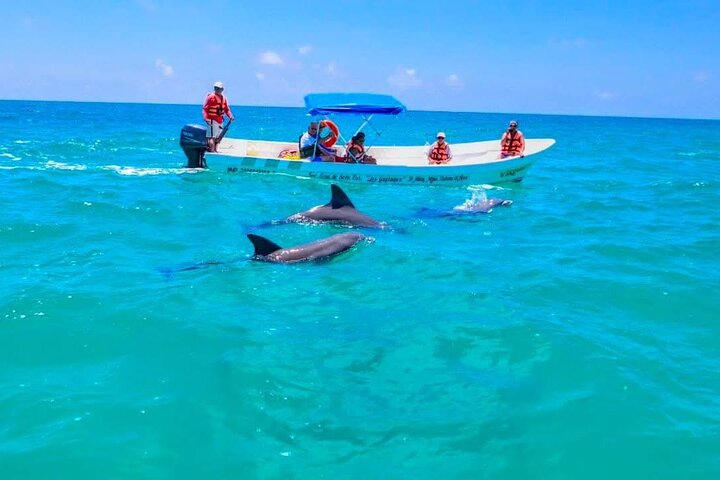 Rio Lagartos and Las Coloradas - Safari Natural Experience 4 hours