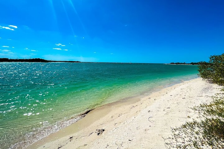 Rio Lagartos and Las Coloradas - Safari Natural Experience 4 hours