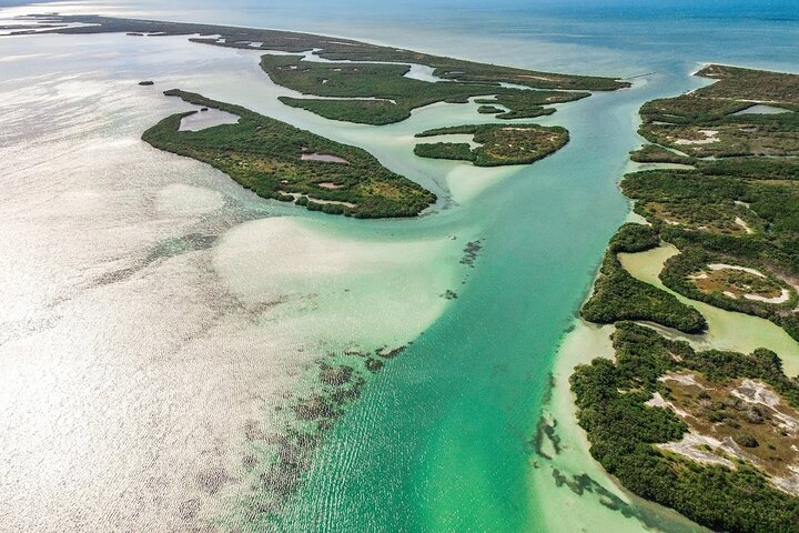 Rio Lagartos and Las Coloradas - Safari Natural Experience 4 hours