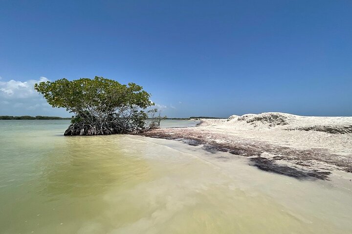 Rio Lagartos and Las Coloradas - Safari Natural Experience 4 hours
