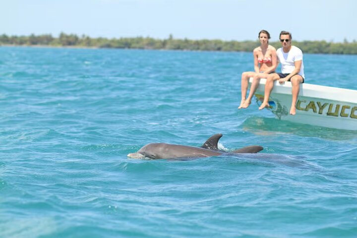 Rio Lagartos and Las Coloradas - Safari Natural Experience 4 hours