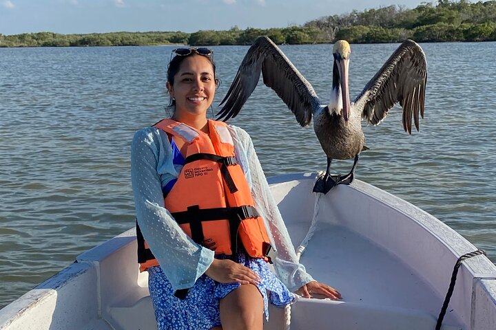 Rio Lagartos and Las Coloradas - Safari Natural Experience 4 hours