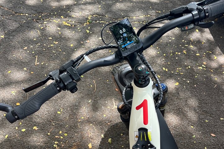 Experience Fort Collins by E Bike Guided Tour