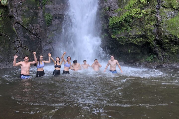Kilimanjaro Tour: Coffee, Waterfall, Caves, lunch (All Inclusive)