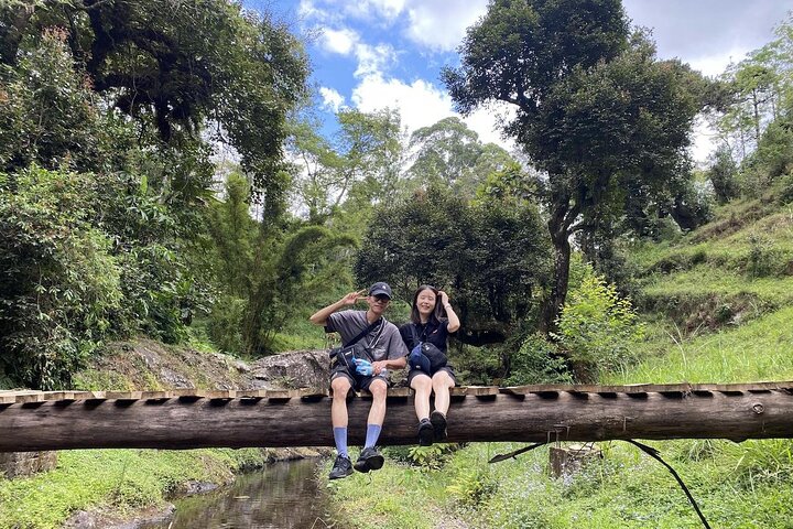 Kilimanjaro Tour: Coffee, Waterfall, Caves, lunch (All Inclusive)
