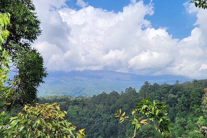 Kilimanjaro Tour: Coffee, Waterfall, Caves, lunch (All Inclusive)