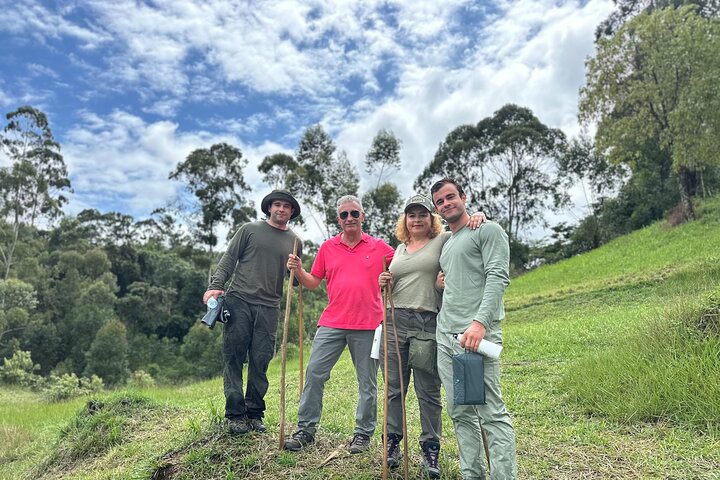 Kilimanjaro Tour: Coffee, Waterfall, Caves, lunch (All Inclusive)
