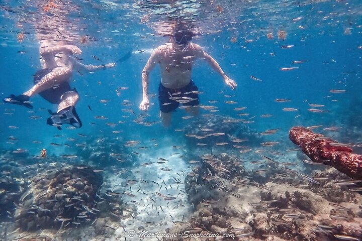 Aquanauts Outing Boat Hiking Palmée Coral Discovery