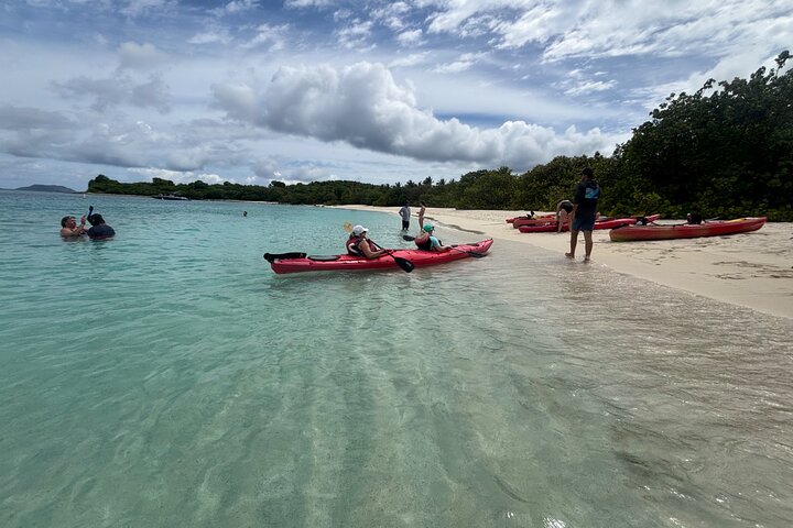 Kayak & Snorkel with Sea Turtles, National Park, St. John