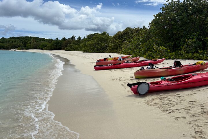 Kayak & Snorkel with Sea Turtles, National Park, St. John