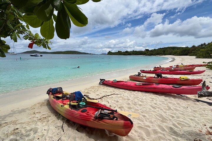 Kayak & Snorkel with Sea Turtles, National Park, St. John