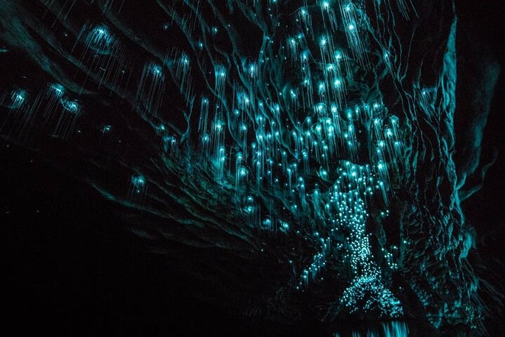 From Hamilton Hobbiton Waitomo Glowworm Caves 1 Day Private Tour
