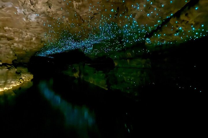 From Hamilton Hobbiton Waitomo Glowworm Caves 1 Day Private Tour