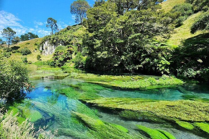 From Hamilton Hobbiton Waitomo Glowworm Caves 1 Day Private Tour