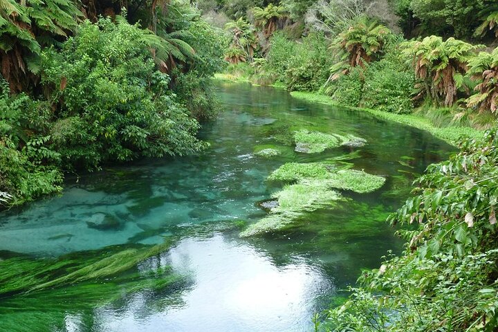 From Hamilton Hobbiton Waitomo Glowworm Caves 1 Day Private Tour