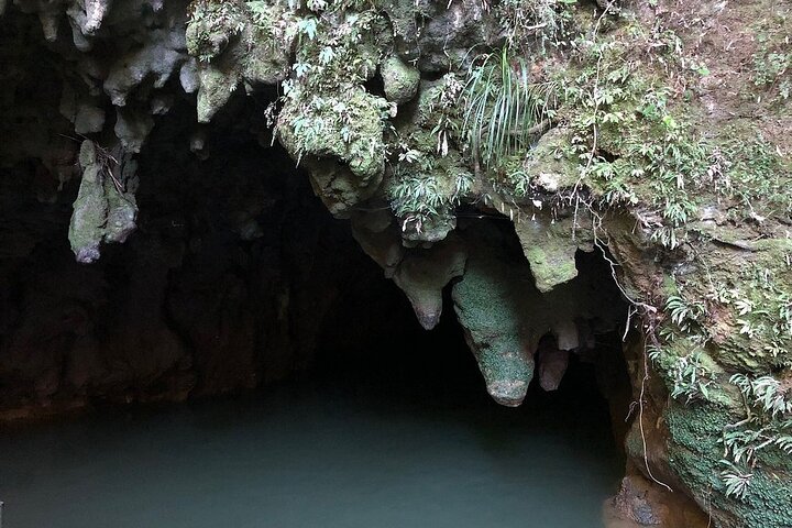 From Hamilton Hobbiton Waitomo Glowworm Caves 1 Day Private Tour