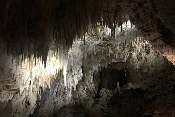 From Hamilton Hobbiton Waitomo Glowworm Caves 1 Day Private Tour