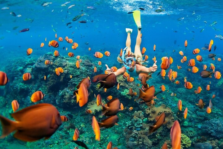 Bali Blue Lagoon Snorkeling with Lunch & Private Hotel Transfer