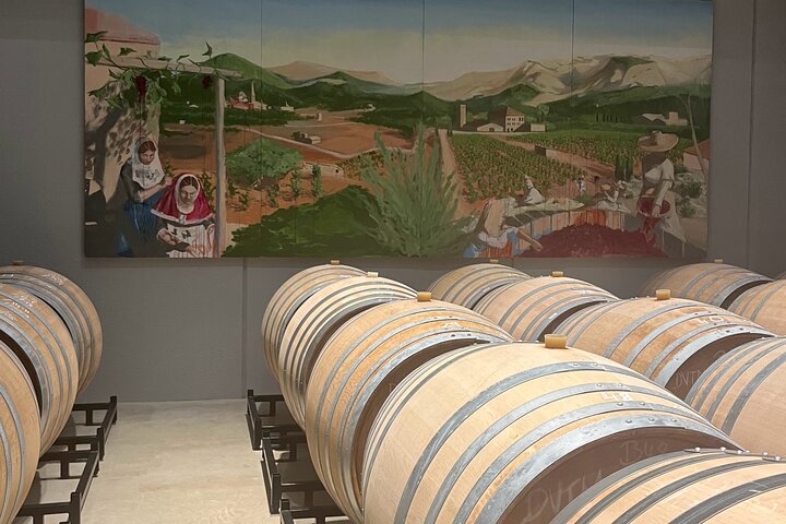Secret Corners and Tastes of Mallorca Private Experience