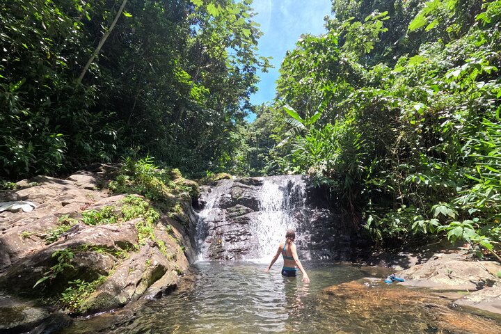 Hidden Gems of the Central Mountains: Tropical Forest Waterfalls