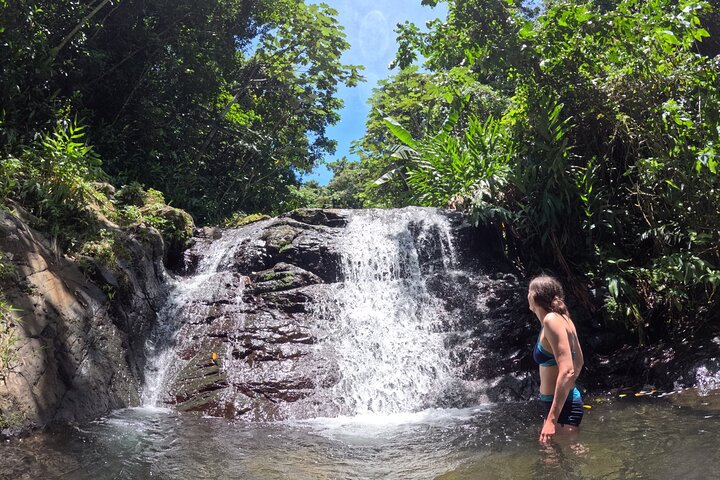 Hidden Gems of the Central Mountains: Tropical Forest Waterfalls