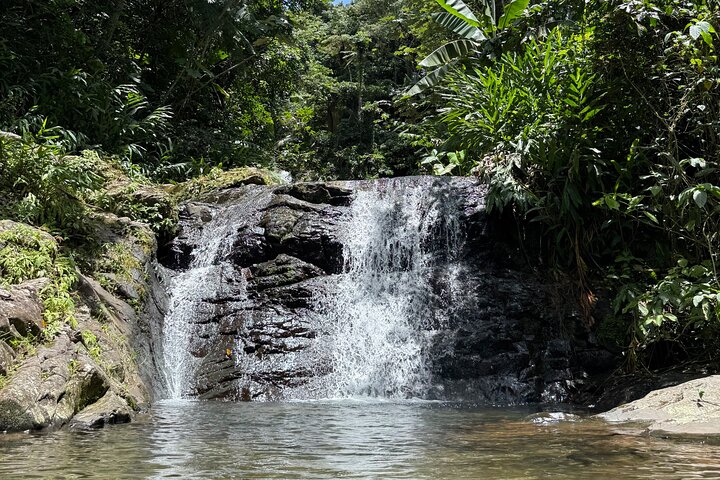 Hidden Gems of the Central Mountains: Tropical Forest Waterfalls