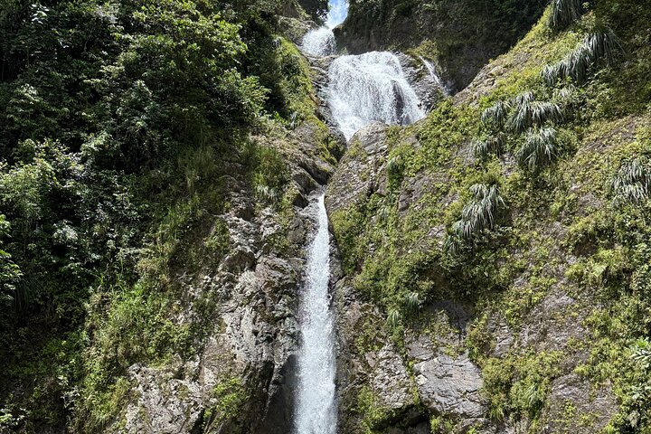 Hidden Gems of the Central Mountains: Tropical Forest Waterfalls