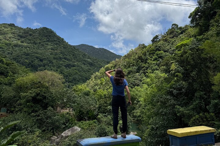 Hidden Gems of the Central Mountains: Tropical Forest Waterfalls