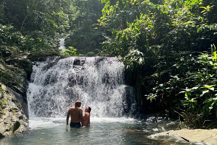 Hidden Gems of the Central Mountains: Tropical Forest Waterfalls