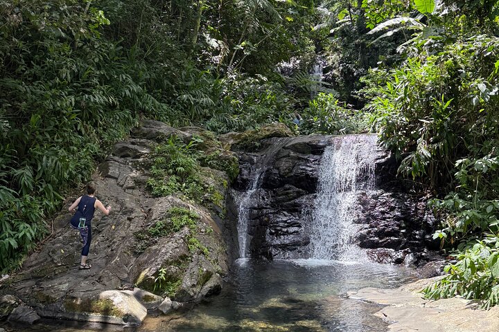 Hidden Gems of the Central Mountains: Tropical Forest Waterfalls