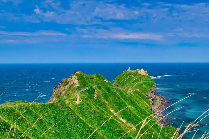 Hokkaido Cape Kamui Shimamui Coast Otaru Day Tour from Sapporo