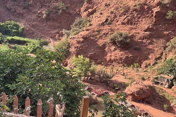 Paradise Valley Excursion with Botanical Garden + Berber Breakfast
