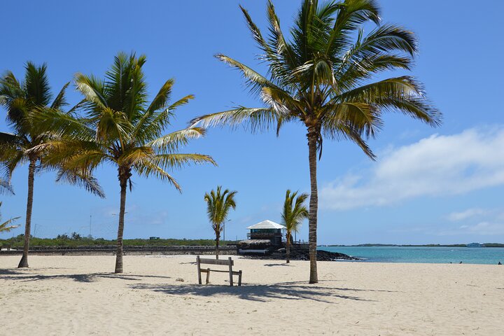 3 Islands in 4 Days: Galapagos Highlights - Wildlife & Snorkeling