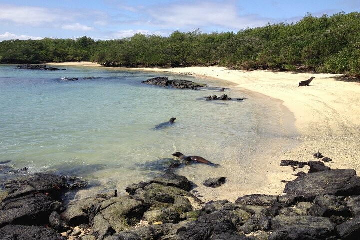 3 Islands in 4 Days: Galapagos Highlights - Wildlife & Snorkeling