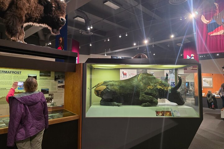 Fairbanks Top City Highlights Tour Summer/Fall