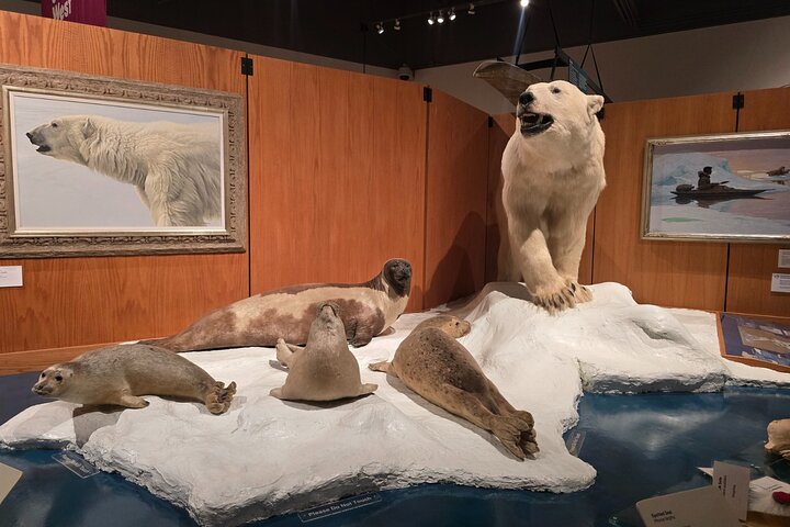 Fairbanks Top City Highlights Tour Summer/Fall