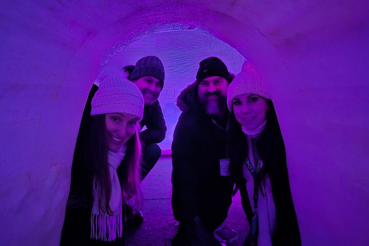 Midnight Sun Magic Chena Hot Springs Soak and Ice Museum Tour