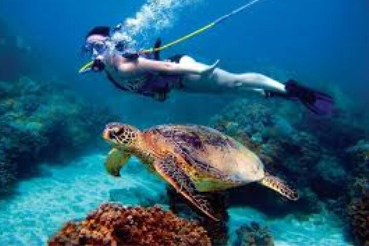 Hookah Diving Adventure in Zihuatanejo